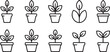 © Md Bishal - Set of diverse potted plant icons showing growth stages and various leaf formations