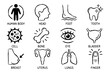 © Arham - A set of medical icons on transparent background, featuring human body parts and organs