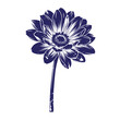 © Laki Parvin  - Dark blue silhouette of a single gerbera daisy flower with a distressed ink texture and white negative space details isolated on a white background