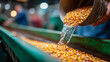 © Aliaksandra - Grain and water flowing through industrial equipment in an agricultural processing plant