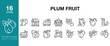 © SpaceFabric - Plum Fruit icon set. Includes plum, fruit, fresh, ripe, sweet, juicy, purple and More. Editable Stroke Icon Collection.