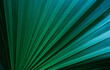 © Nabodin - abstract tropical leaf textures on dark tone, natural green background
