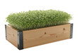 © moma - Rectangular wooden planter box filled with lush green artificial grass isolated on transparent background