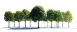 © Mahazera - Trees Lined Up in Row silhouette vector illustration eps