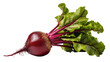 © Trym - Deep purple beet root with vibrant green leaves, displaying earthy texture and fresh produce