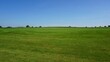 © Sophie - Wide open grassy landscape with clear blue sky and horizon, minimal natural background with large copy space for design or advertising use