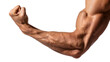 © Femke - Muscular tanned arm flexing, displaying defined bicep and forearm strength