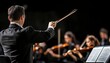 © Ilja - Symphonic Visionaries Conducting Orchestra with Passion in a Dramatic Live Concert Experience.