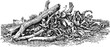 © Purple_Lamp - Pile of driftwood and tree branches lying on a rough surface detailed black and white engraving illustration