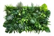 © Rawpixel.com - Lush green vertical garden