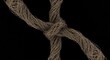 © naima - Knot glitch. Twisted noise. Tangled pixels. Earth brown moss analog defect dust scratches on dark black.