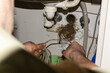 © Yulia Antonova - Severe kitchen drain clog removal: plumber extracting dirt and grease with a drain snake.