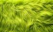 © Delilah zoe - Bright lime green shaggy faux fur textile texture background, soft and fluffy material.