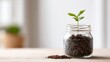 © Lush Diaries - Growing Plant in Glass Jar with Soil