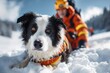 © Anna - Rescue dog and handler in snowy mountain
