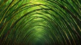 Serene green bamboo tunnel arch walkway with dense foliage and sunlight filtering through leaves for nature background poster and eco design concept