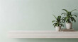 © NAZMA - Minimalist light wood floating shelf zoom background with two potted plants and a stack of books against a soft pastel green wall.