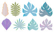 © Rawpixel.com - PNG Colorful abstract tropical leaves on transparent background