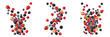 © Leaf - Forest Berry Medley of Strawberries, Blueberries, Raspberries flying in air, Dynamic mix of mixed berries dynamically levitating - Baies Volantes - Bayas Voladoras - Fliegende Beeren