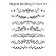 © Sameyen - elegant wedding divider set with floral swirls and ribbons vector illustration