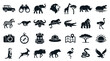 © Iconique Studio - African Safari Icons Set Wildlife Animals Vehicles and Equipment Vector Graphics Collection for Travel and Adventure Designs