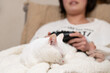 © hakase420 - ゲームをする飼い主の膝の上で眠る白い猫