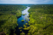 © Marcio I. Sá - Aerial view of the Amazonia rainforest and blackwater river near Novo Airão City with flooded trees and lush tropical canopy