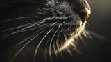 160_f_1972611627_purwwcm0rcylilifydmudaah5fk7f1sc