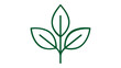 © Rana Rana - Green minimalist line art vector icon of three leaves on a stem, symbolizing growth, nature, and environmental sustainability, clean flat illustration for eco-friendly branding and web design.