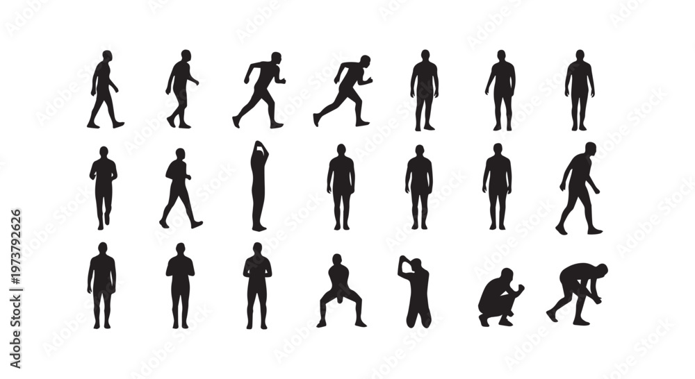 Bone Alignment Vector Skeletons in anatomical positions illustrating human bone structure and ...