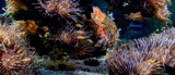 160_f_1973806874_on6eg0t679msahou7i754qhwi2akm17a
