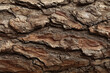 © VicenSanh - Rough bark texture dominates the frame. Deep crevices and ridges show natural weathering. Warm tones suggest aged, sturdy wood. Ideal for rustic or organic design concepts