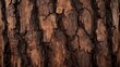 © Ahmad - Closeup of tree bark texture 2.