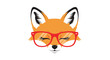 © Gazi - Stylish orange fox head wearing bright red glasses with long eyelashes and closed eyes on a white background for a modern and hip graphic art.