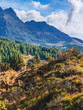 © Oscran - Montañas y cordilleras Mérideñas de Venezuela, con paisaje verde y vibrante bajo la luz del día