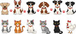© MeheDi - Cute Cartoon Cat and Dog Character Set Featuring Different Breeds Poses and Expressions with Adorable Pet Illustration Collection