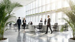 © AucArtStudio - Biophilic design office interior open workspace natural light modern business team collaboration