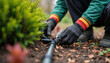 © Raisa - Gardener installs drip irrigation system near young plants. Hands in gloves connect black plastic pipe fittings for efficient water use. Mulch covers soil, ensuring plant hydration, care in garden