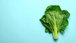 © Nisar Studio - Fresh Green Cabbage Light Blue Background Crisp Leafy Vegetable Healthy Food Visuals