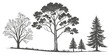 © Icon Set - Set of diverse tree silhouettes including pine oak deciduous varieties on a grassy hill line for nature landscape design and environmental forestry concepts silhouette