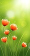 © Rocky - Vibrant orange poppies and green grass with soft lights