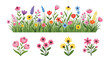 © KAWSAR HAMID PALASH - A vibrant border of varied colorful wildflowers and lush green grass sits above four distinct flower bouquets.