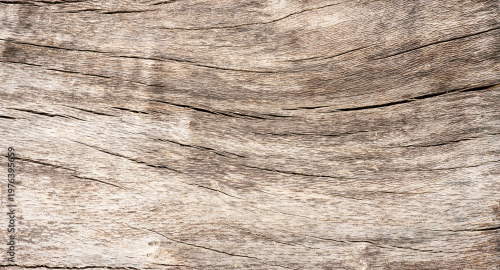 Old weathered wood texture with natural tree bark grain and rough ...