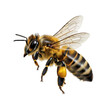 © Creative Art - A close-up view of a busy bee in flight with detailed striped body markings