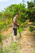 © Guillermo Spelucin - Happy farmer cultivating land on a sustainable fruit farm
