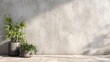 © Narumi - Modern interior with plants in concrete pots against a textured, sunlit wall