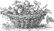© Purple_Lamp - Wicker basket with ripe apples and leaves, rustic autumn harvest vintage illustration