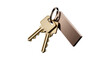 © Irina - Two brass keys and a metallic rectangular tag on a ring, isolated on transparent background