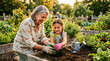 © Xenia - Grandmother and granddaughter planting a tomato seedling in a raised garden bed. Happy senior woman teaching child how to garden outdoors. Family bonding concept