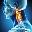© Mahade - Human Neck Anatomy with Glowing Vertebrae and Spinal Tension
